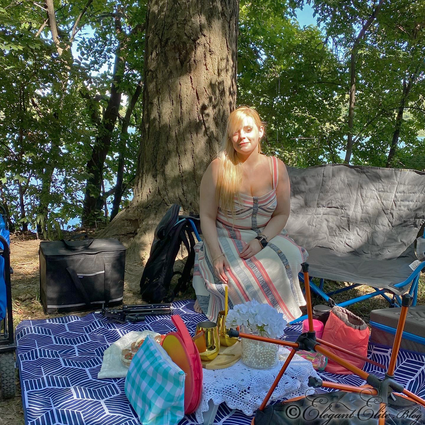 Picnic in Prospect Park Elegant Elite Blog